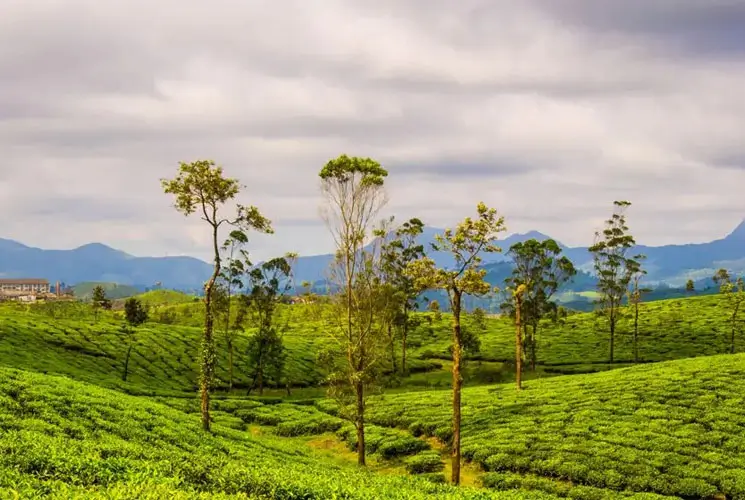 Kerala Trip Cost Guide